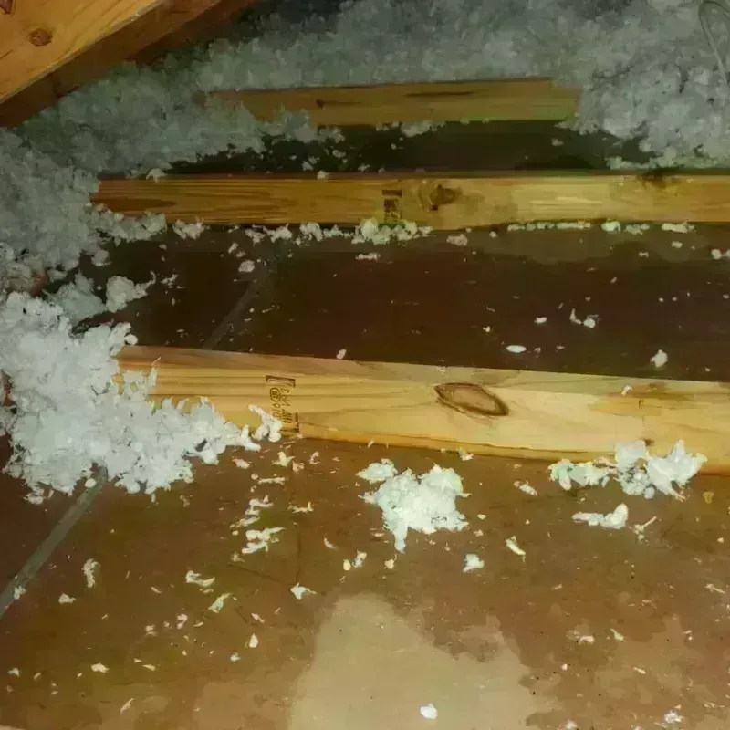 Attic Water Damage in Castle Dale, UT