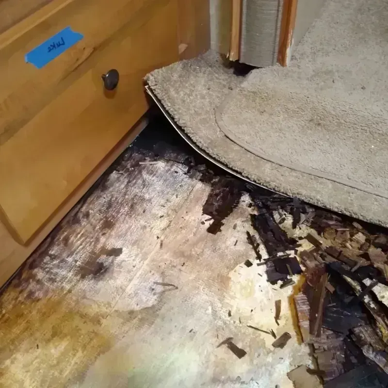 Best Wood Floor Water Damage Service in Castle Dale, UT